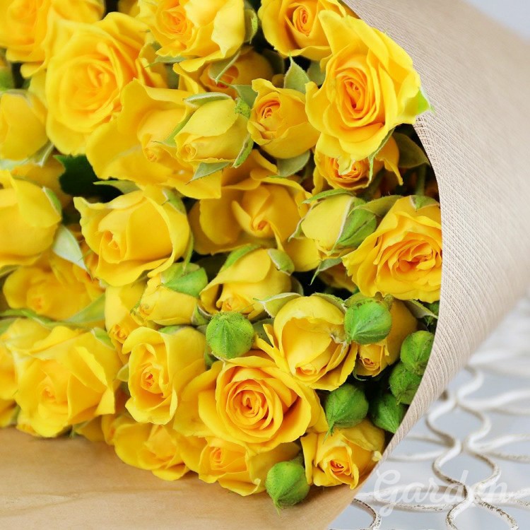 Огромный букет желтых. Желтые розы пионовидные желтые розы. Желтые кустовые розы. Букет желтых роз.